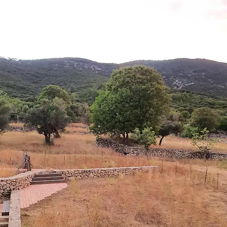 Podgora Experience Ii Nerezine