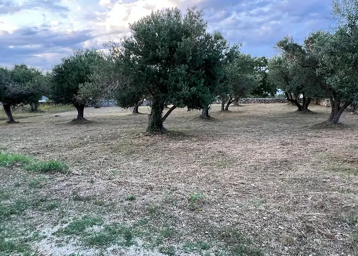 Appartement Podgora Experience Ii *