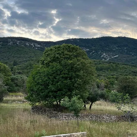 Podgora Experience Ii Daire Nerezine