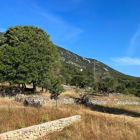 Daire Podgora Experience Ii