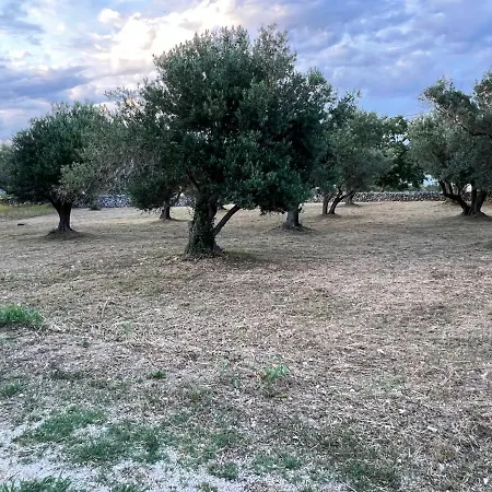 Daire Podgora Experience Ii *